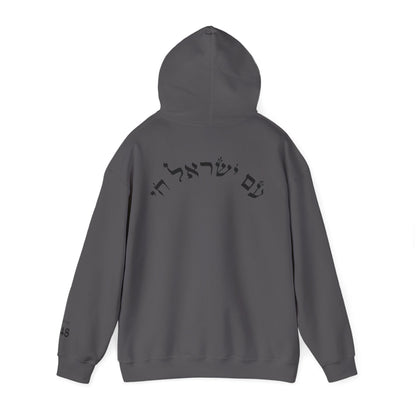 The Heritage Hoodie | קפוצ'ון עם ישראל חי - EGOROV DESIGN